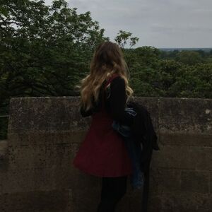 Burgundy pinstripe pinafore skirt